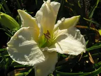 IMG_weiß_1024x768.webp