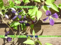 07.08. 004.webp