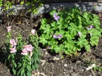 07.08. 005.webp