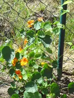 07.08. 007.webp