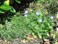 07.08. 011.webp