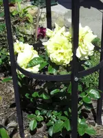 07.08. 012.webp