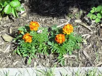 07.08. 013.webp