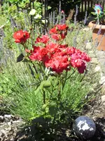 07.08. 014.webp