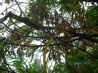 BILD2117.webp
