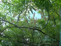 BILD2119.webp