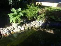 Garten 001.webp