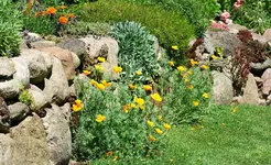 Feldsteinmauer Hangbeet links.webp