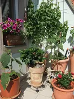DSCF0961.webp