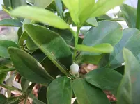 DSCF0983.webp