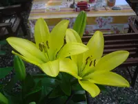 7.7.2010 002.webp