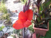 7.7.2010 039.webp
