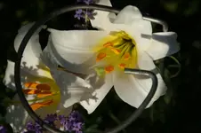 DSC03356.webp