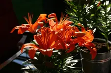 021.webp