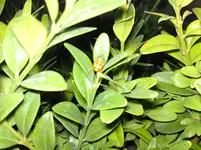 DSC00657.webp