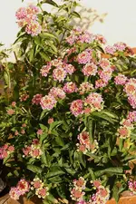 IMG_3835.webp