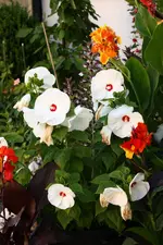 IMG_3920.webp