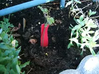 DSCF3670.webp