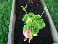 DSCF3672.webp