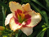 IMG_albert 28_1024x768.webp
