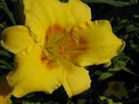 IMG_anja _1024x768.webp