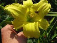 IMG_burried treasure_1024x768.webp