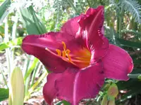 IMG_byzanthin empereor_1024x768.webp