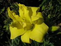 IMG_gefüllt_1024x768.webp