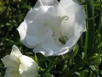 IMG_7319_1024x768.webp