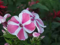 IMG_7328_1024x768.webp