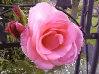 Fotos-0442.webp