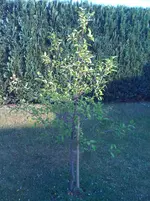Foto(4).webp