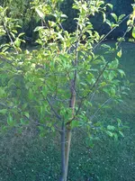 Foto(5).webp