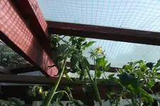 Garten 014.webp