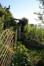Weingarten.webp