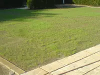 DSC03100.webp