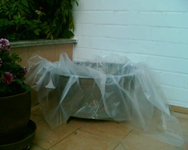 die Zinkwanne einen Tag später.webp die Zinkwanne einen Tag später.webp