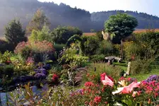 herbst 028.webp