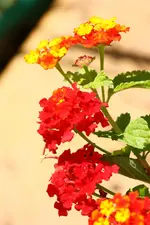 IMG_3966.webp