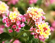 IMG_3965.webp