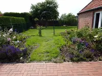 mein garten juli 4.webp mein garten juli 4.webp