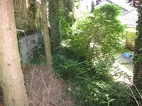 Hang 004.webp