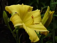 P1020650.webp