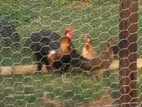 HPIM5032.webp