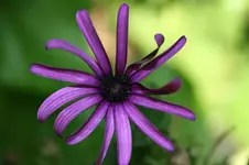 055.webp