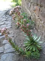 080710 008.webp