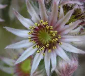 080710 006.webp