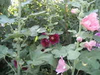 IMG_1762.webp