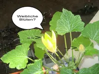 Bild 001.webp Bild 001.webp