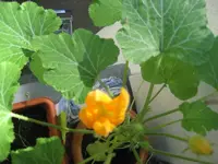 Bild 002.webp Bild 002.webp
